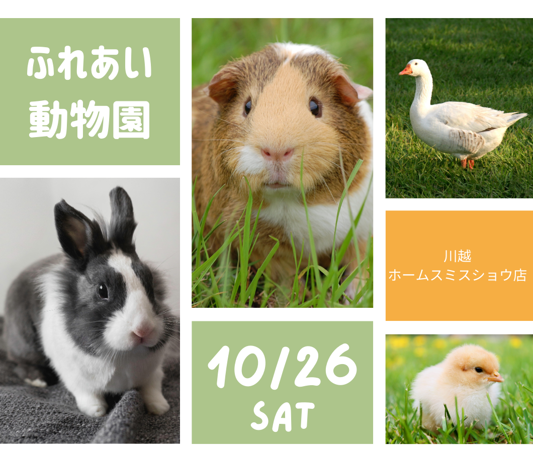 ふれあい動物園 写真